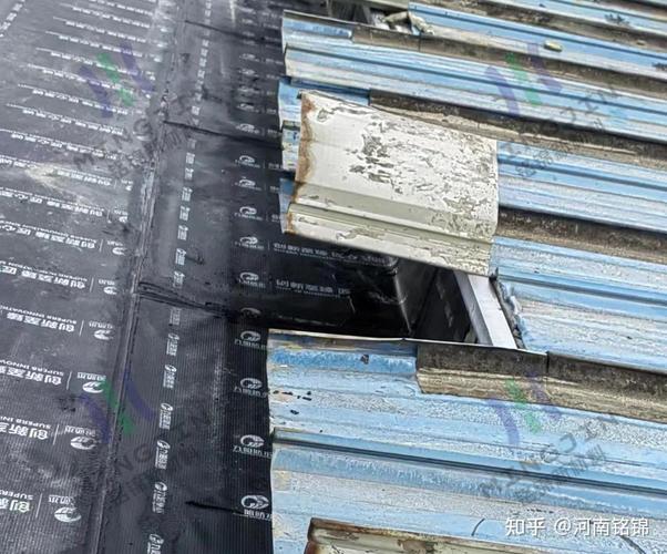 彩钢屋顶漏水怎么处理?漏水彩钢屋顶拯救计划:实用处理方法大公开!