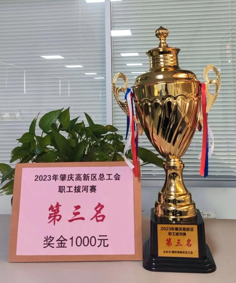 #团队精神 #职工运动会 带领我可爱的同事们参加工会拔河比赛
